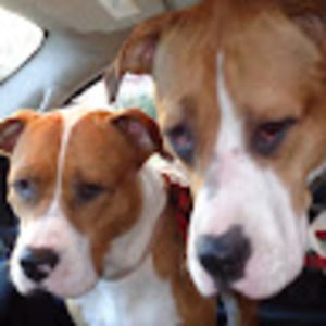 Meet your Posher, Lara